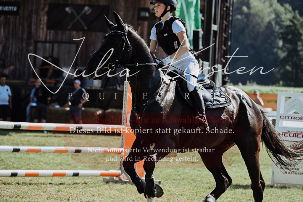 DSC_6008 | Pferde- und Turnierfotografie in Westsachsen. Pferdeportraits, Auftragszeichnungen und intuitive Kunst.