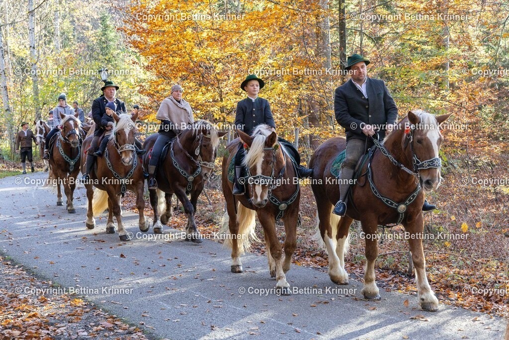 LL24-300 | foto-bettina-krinner - Realisiert mit Pictrs.com