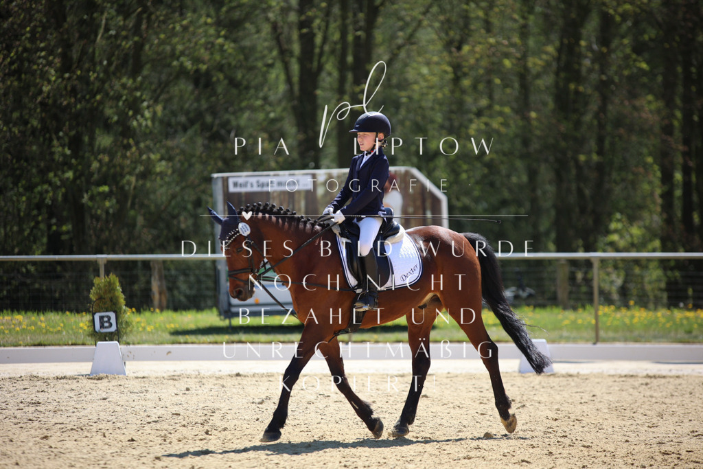 IMGT0779 | pl-fotografie