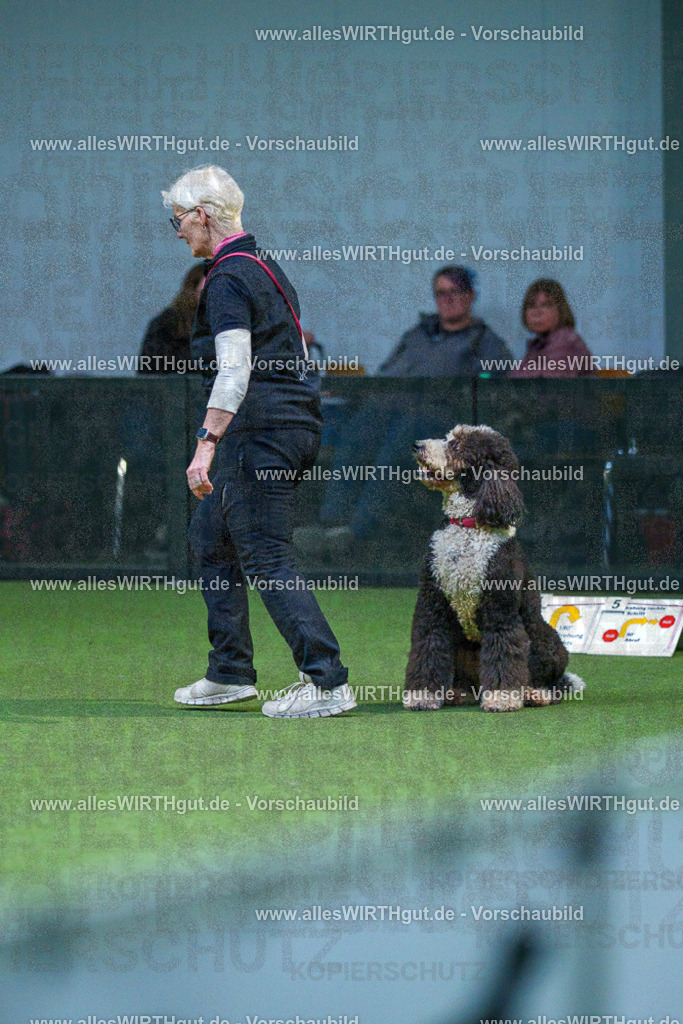 7R502681 | Professionelle Tierfotografie in Mönchengladbach von Daniel Wirth (allesWIRTHgut). Liebevolle & natürliche Bilder von Hunden & Katzen für unvergessliche Erinnerungen.