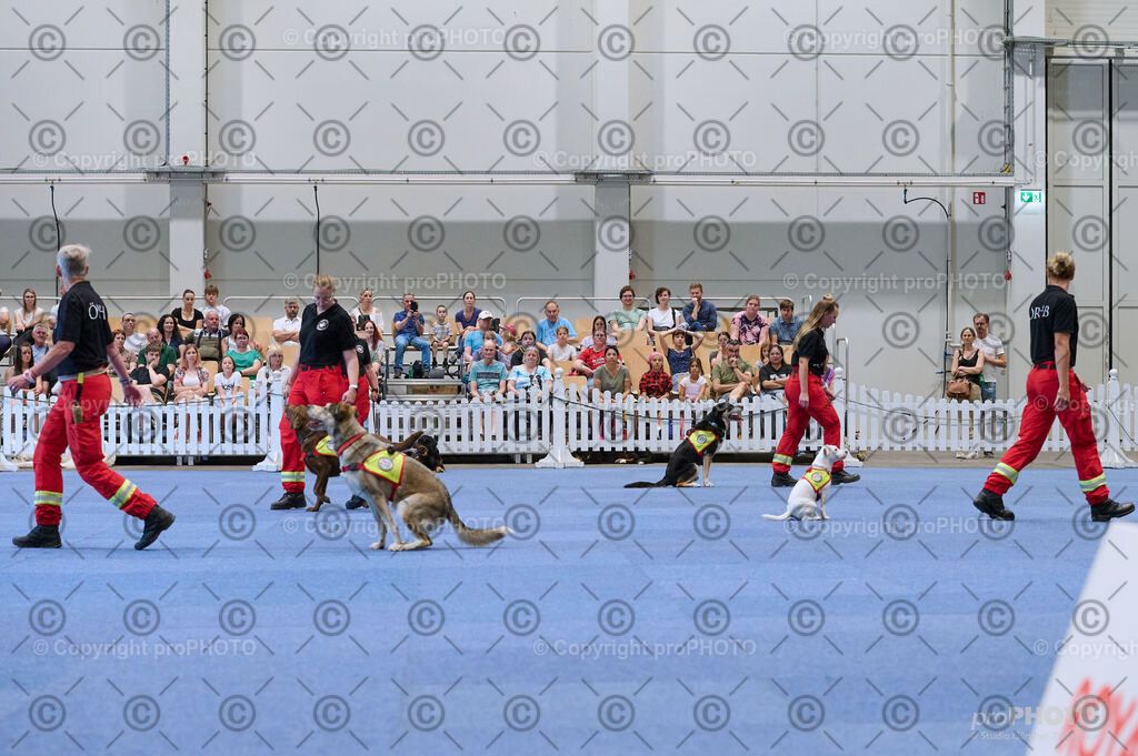 202406_ÖKV-IHA-Tulln24_DSC_3436 | proPHOTO - Realisiert mit Pictrs.com