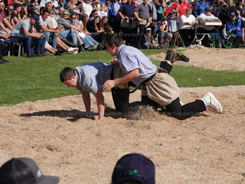 DSC05601 | Schwingen - Realisiert mit Pictrs.com