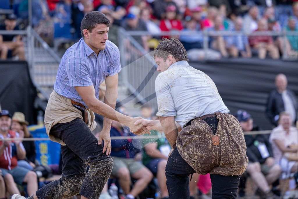 TESSINER2025_01_Gang_9368 | Die Schwinger des Schwyzer Kantonalen Schwingerverbandes: Fotos, die Dynamik und Leidenschaft festhalten, sowie emotionale Momente aus dem traditionellen Schwingsport zeigen. - Realisiert mit Pictrs.com