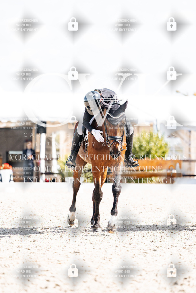 CK903012 | Turnierfotografie Pferdefotografie Trier Rheinland-Pfalz Pferdesport Reitsport Tierfotografie Sportfotografie Pferdevideo Pferdevideografie Equestrianvideography equestrianphotography  - Realisiert mit Pictrs.com