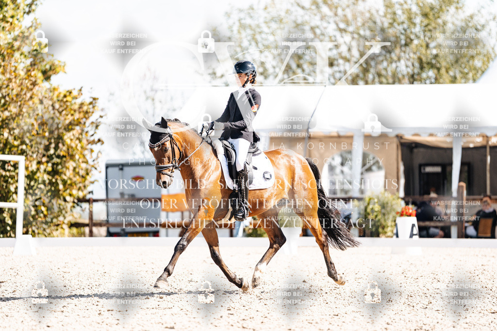 CK902692 | Turnierfotografie Pferdefotografie Trier Rheinland-Pfalz Pferdesport Reitsport Tierfotografie Sportfotografie Pferdevideo Pferdevideografie Equestrianvideography equestrianphotography  - Realisiert mit Pictrs.com