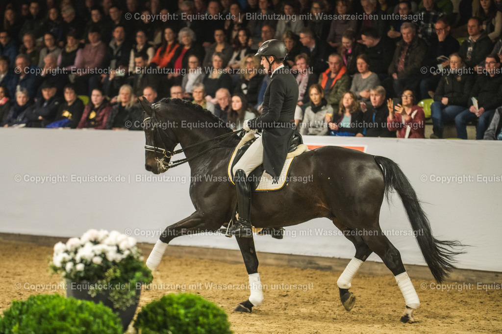 20240302_Hengstvorstellung_Marbach_TOMsPiC_1491 | equistock