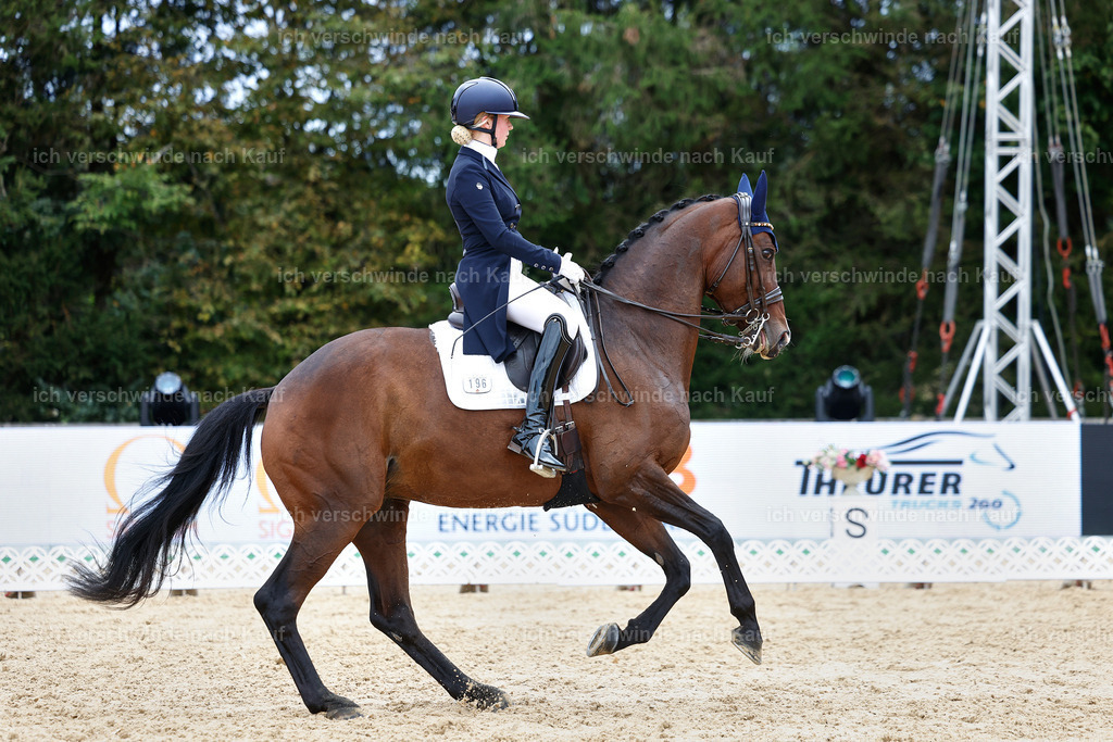 6-196-AMATUER-DRESSUR S_  -StoibPH-3518 | working equitationturnier fotograf videograf stoibphotography marixx film working equitation deutschland reitsport turnierfotografie eventfotografie equestrian events