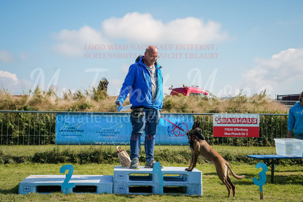 20250928_Hunderennen-734 | MuT (Mensch und Tier) mit Mona - Fotografie und Tierkommunikation - Realisiert mit Pictrs.com