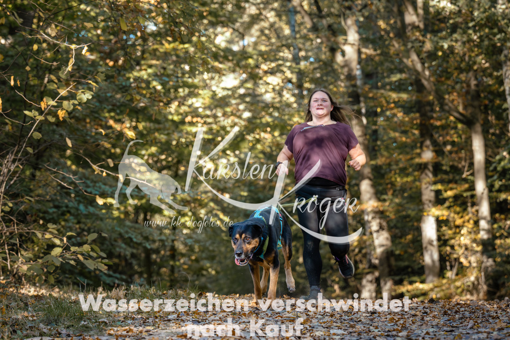 1105_ZZ91553 | kk-dogfotos