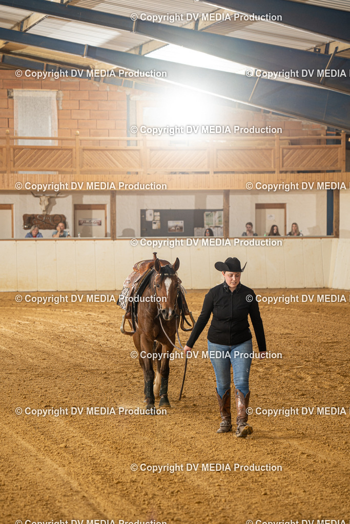 MIT00351 | dv-media-shop - Realisiert mit Pictrs.com