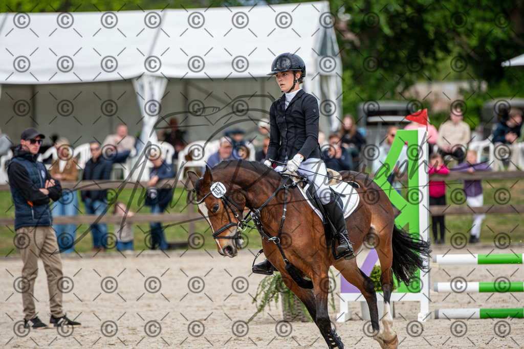 KPT_5966 | andre_photographic