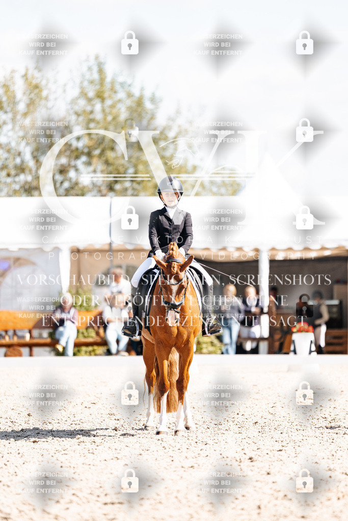 CK903023 | Turnierfotografie Pferdefotografie Trier Rheinland-Pfalz Pferdesport Reitsport Tierfotografie Sportfotografie Pferdevideo Pferdevideografie Equestrianvideography equestrianphotography  - Realisiert mit Pictrs.com