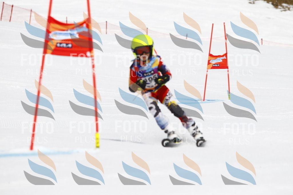 _U3G5114 | holidayphoto