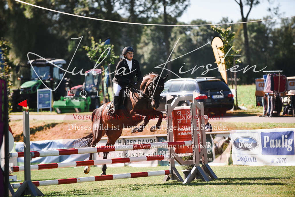 DSC_2527 | Pferde- und Turnierfotografie in Westsachsen. Pferdeportraits, Auftragszeichnungen und intuitive Kunst.