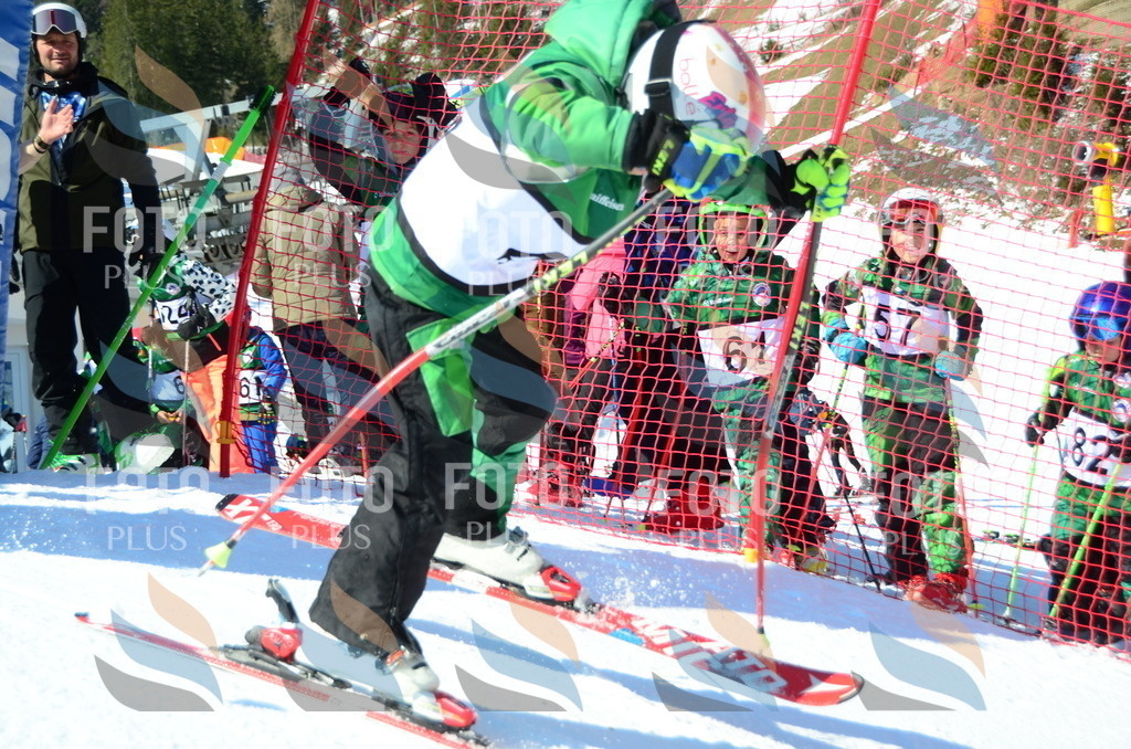 C5134 | holidayphoto