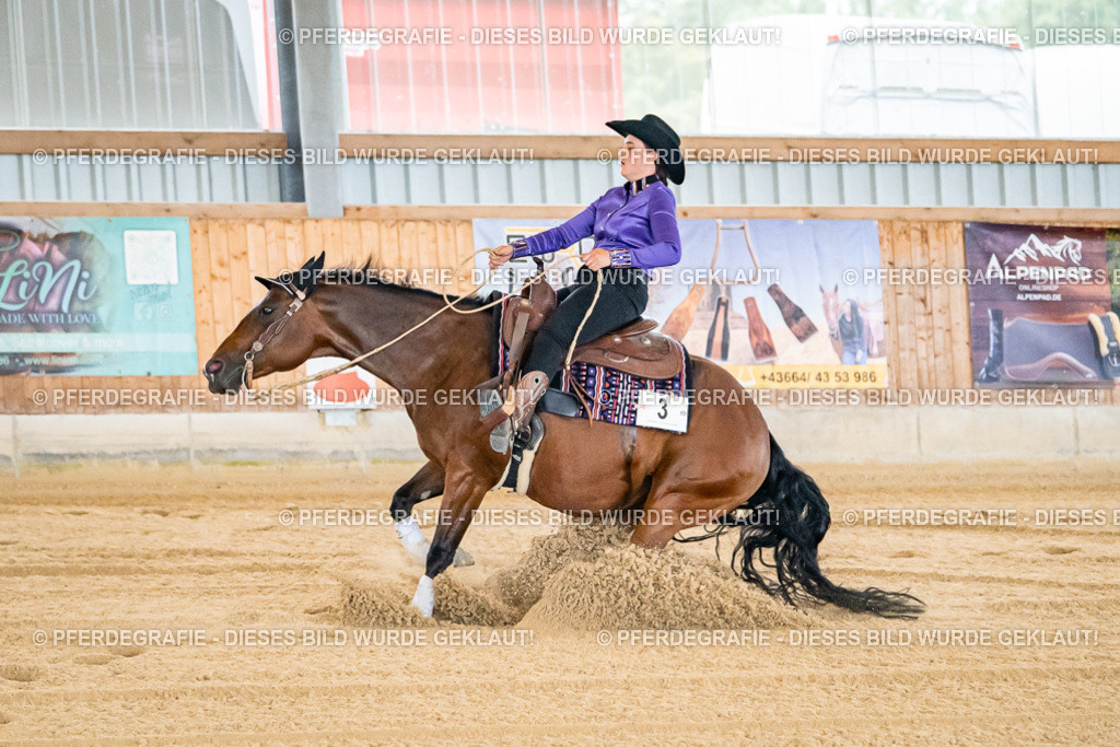 DSC06211 | Pferdegrafie