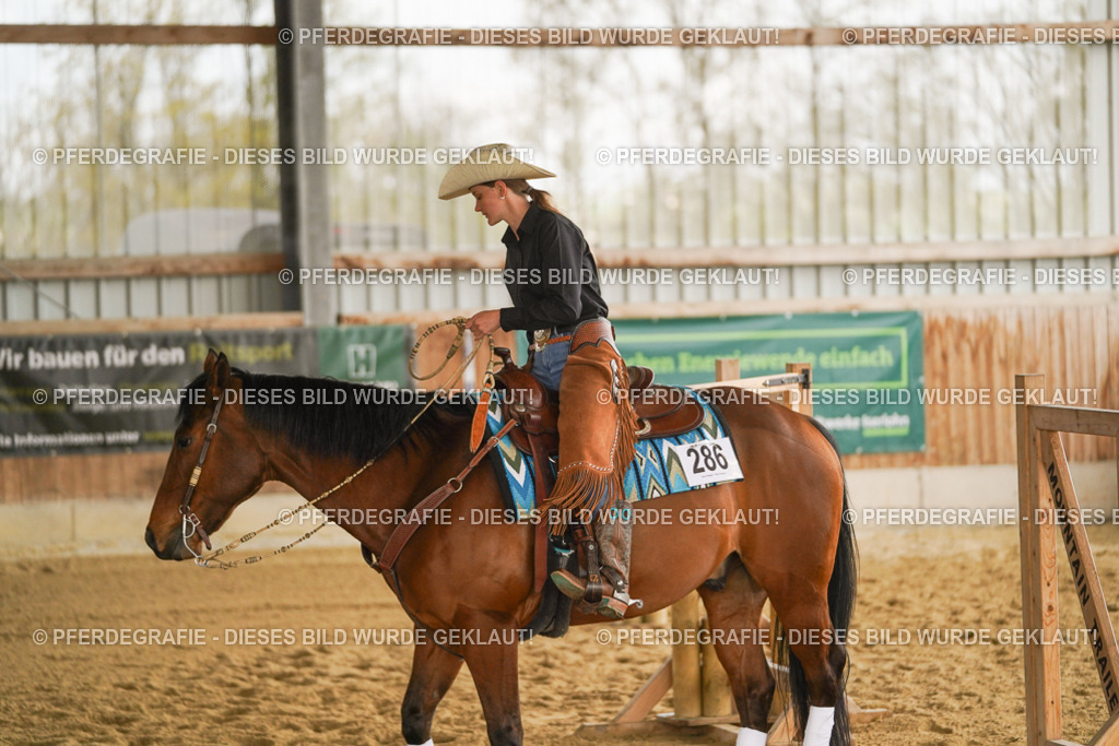 DSC04433 | Pferdegrafie