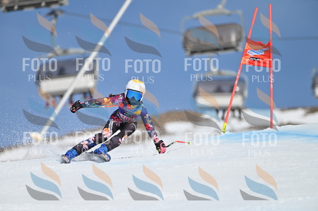 BGV_9484 | holidayphoto