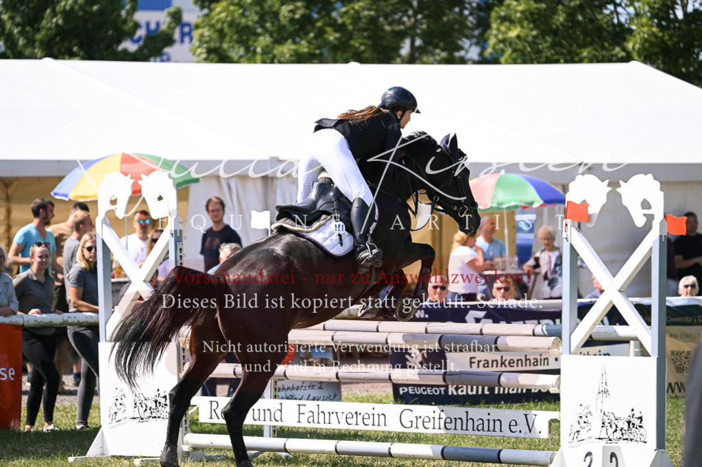 DSC_0497 | Pferde- und Turnierfotografie in Westsachsen. Pferdeportraits, Auftragszeichnungen und intuitive Kunst.