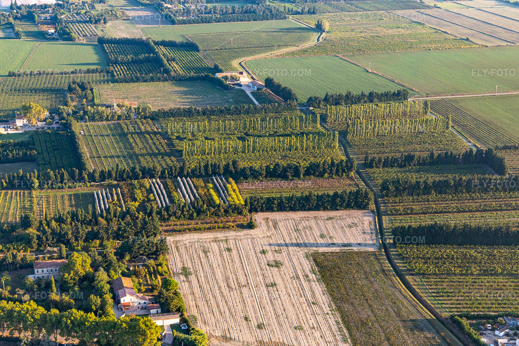 Aerial view: Plantations sheltered from the wind in the district Zone Nord-Est Urbaine in Tarascon in the state Bouches du Rhone, France.Photo: IMG_129578.jpg taken on 09/23/2021 by Werner Riehm/FLY-FOTO.comResolution of the original: 5017 x 3345 px