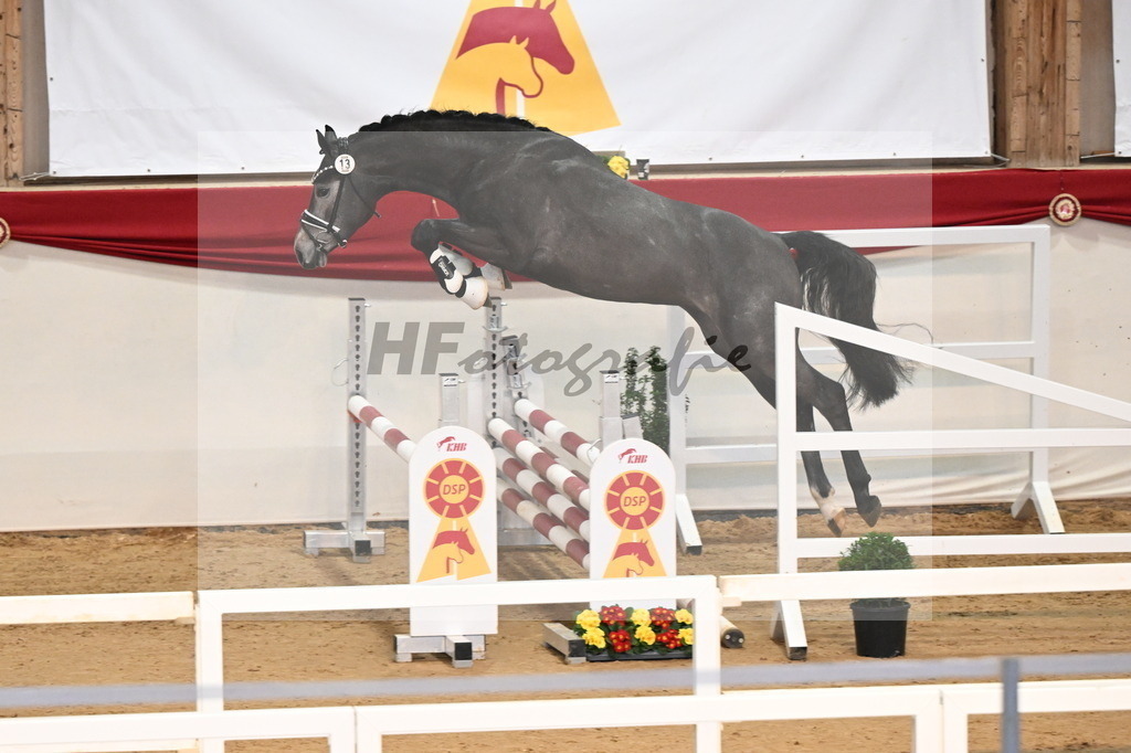 Kat.-Nr. 13 v. Cornet Obolensky (Windows vh Costersveld)_Beckmann_3261627 | hf-fotografie - Realizzato con Pictrs.com