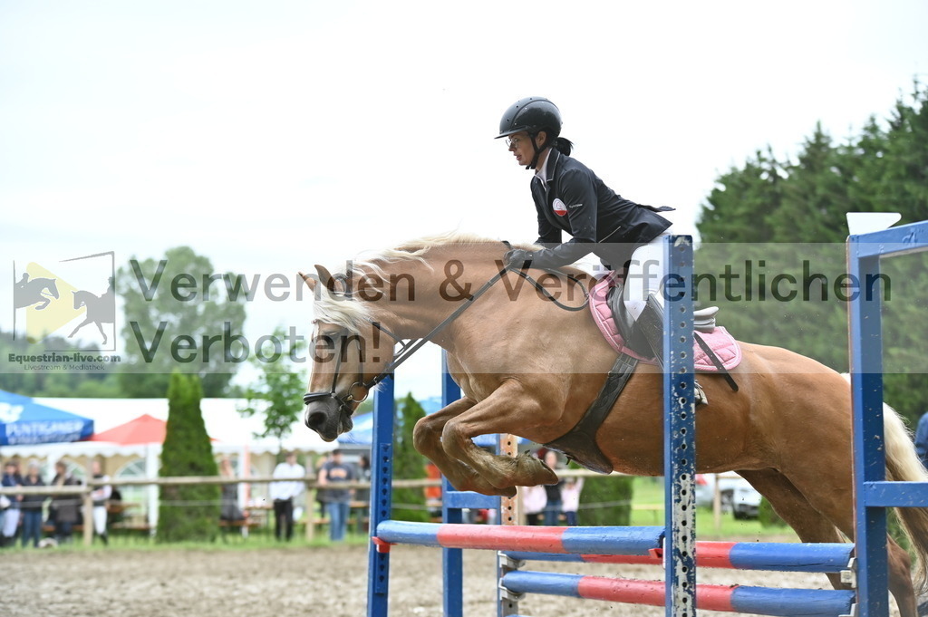 DSC_0603 | equestrian-live-com