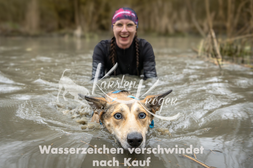 1239_ZZ99671 | kk-dogfotos