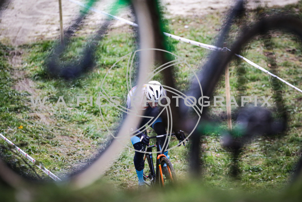 ..... | AUSTRIA, 24.11.24, 3.Radquerfeldein GP um das Sportzentrum Gunskirchen Image shows: Photo: Wapics / Andreas Willdoner