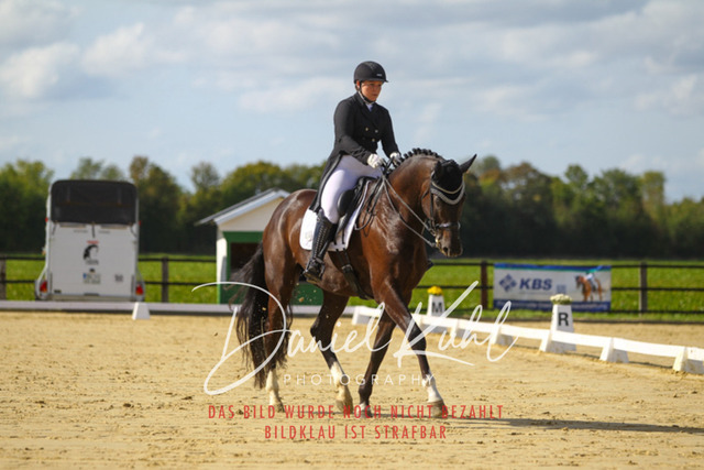 DKP45478 | Turniersportfotografie; Pferdefotografie; Dressurfotografie