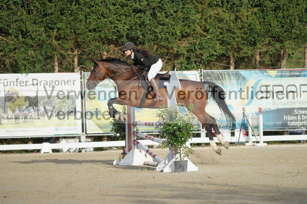 DSC01487 | equestrian-live-com