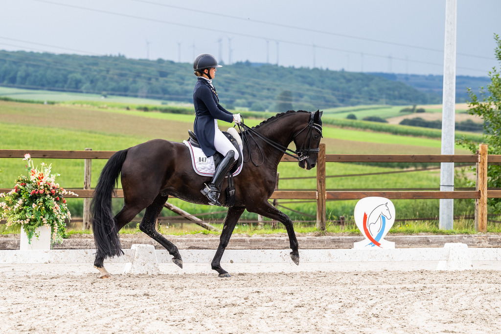 Luxembourg Dressage Championship 2025 - Senior League B | Luxembourg Dressage Championship 2025 - Maite Colling on Fashion Hype - Realisiert mit Pictrs.com