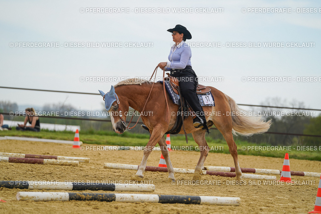 DSC02500 | Pferdegrafie