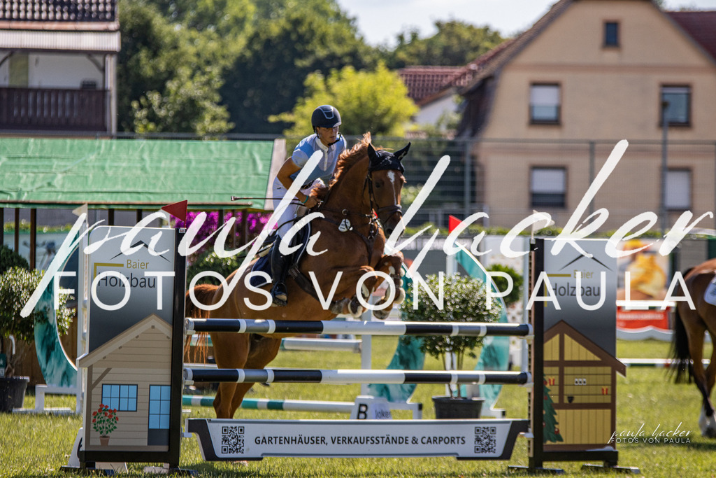 IMG_0168 | Erleben Sie dynamische Sport- und emotionale Tierfotografie in Süddeutschland mit Fotos von Paula. Spezialisiert auf Pferde- und Hundefotografie sowie Sportevents. Kontaktieren Sie mich für einzigartige und ausdrucksstarke Bilder Ihrer besonderen Momente. - Realisiert mit Pictrs.com