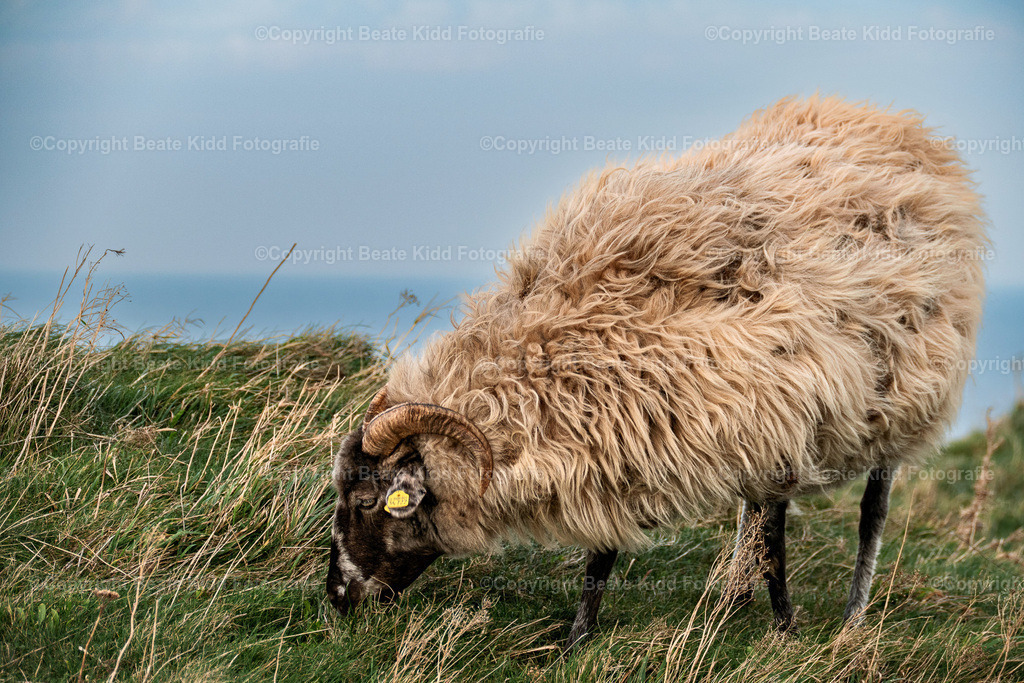 P1220506 | beatekidd-fotografie - Realisiert mit Pictrs.com