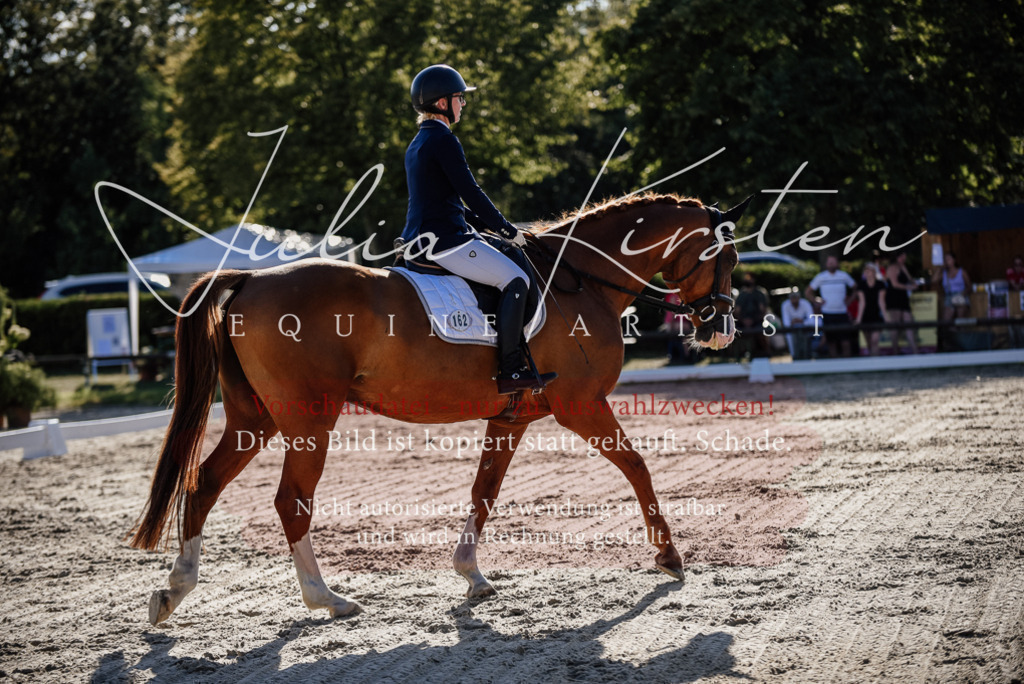 DSC_0478 | Pferde- und Turnierfotografie in Westsachsen. Pferdeportraits, Auftragszeichnungen und intuitive Kunst.