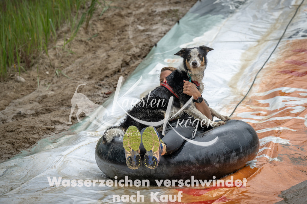 1553_ZZ99249 | kk-dogfotos