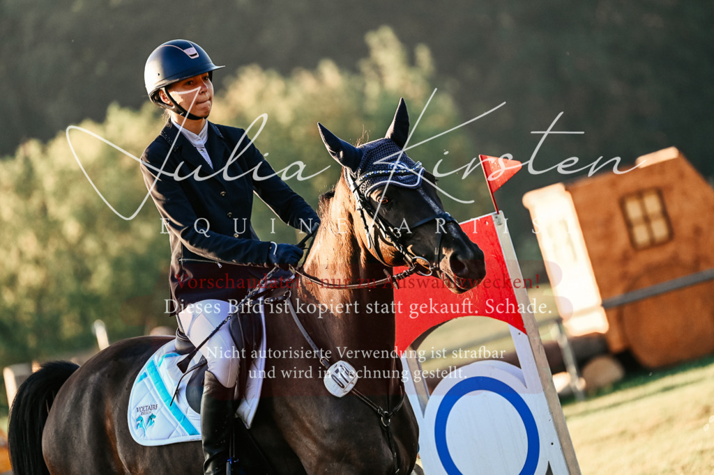DSC_3802 | Pferde- und Turnierfotografie in Westsachsen. Pferdeportraits, Auftragszeichnungen und intuitive Kunst.