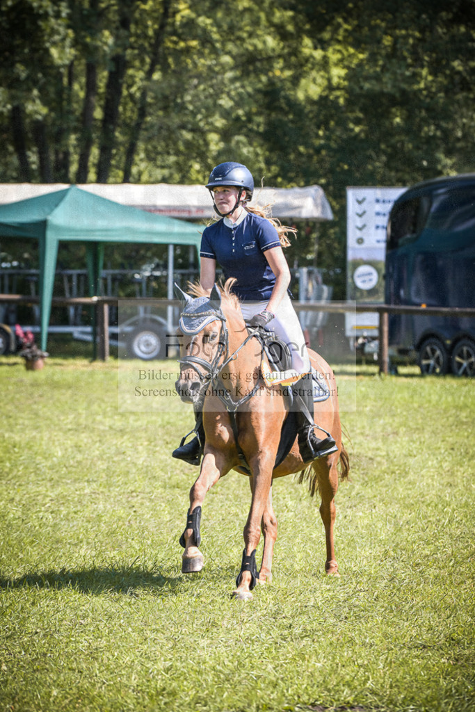 DOS_0011 | Entdecke hochwertige Reitturnierfotos von Foto Oger. Professionell, emotional und authentisch – jetzt Lieblingsmomente im Shop bestellen.Deutschlandweite Turnierfotografie. - Realisiert mit Pictrs.com