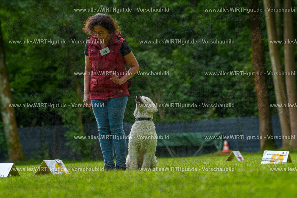 @allesWIRTHgut_Tierfotografie - www.allesWIRTHgut.de - 7R505220 | Professionelle Tierfotografie in Mönchengladbach von Daniel Wirth (allesWIRTHgut). Liebevolle & natürliche Bilder von Hunden & Katzen für unvergessliche Erinnerungen.