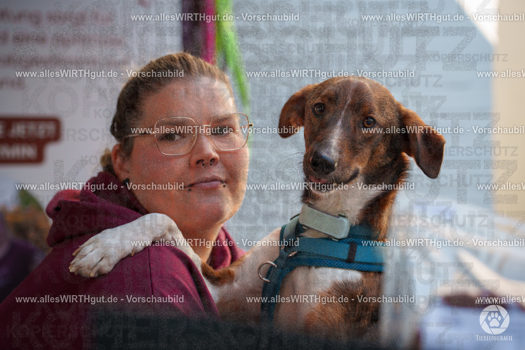 Pfötchenmarkt Nettetal-Lobberich 2026 - Nettetal-Tag - Daniel Wirth - www.allesWIRTHgut.de - @allesWIRTHgut_Tierfotografie 7R508265 | Professionelle Tierfotografie in Mönchengladbach von Daniel Wirth (allesWIRTHgut). Liebevolle & natürliche Bilder von Hunden & Katzen für unvergessliche Erinnerungen.