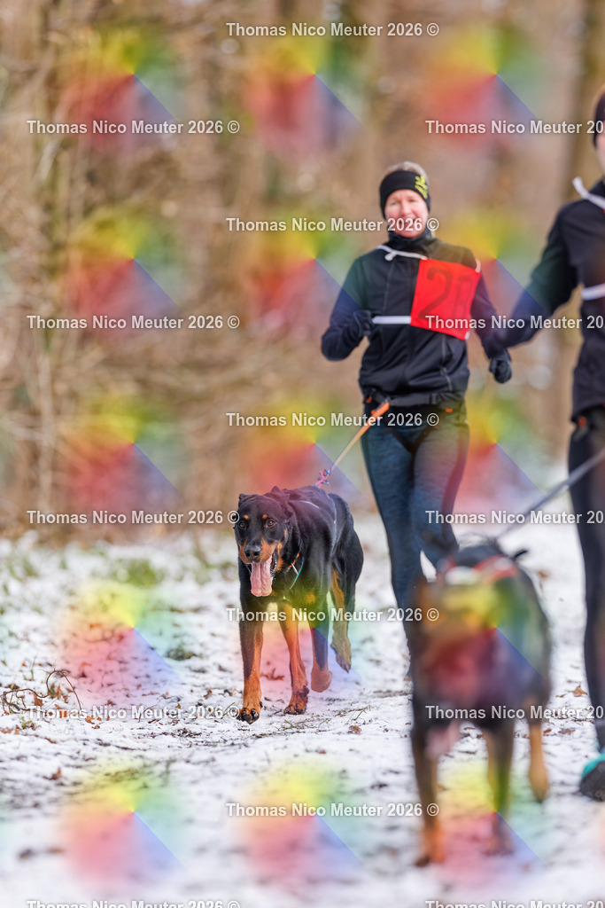 Thomas_Nico_Meuter(C)_223A8529 | Bild von Thomas Nico Meuter - Realisiert mit Pictrs.com