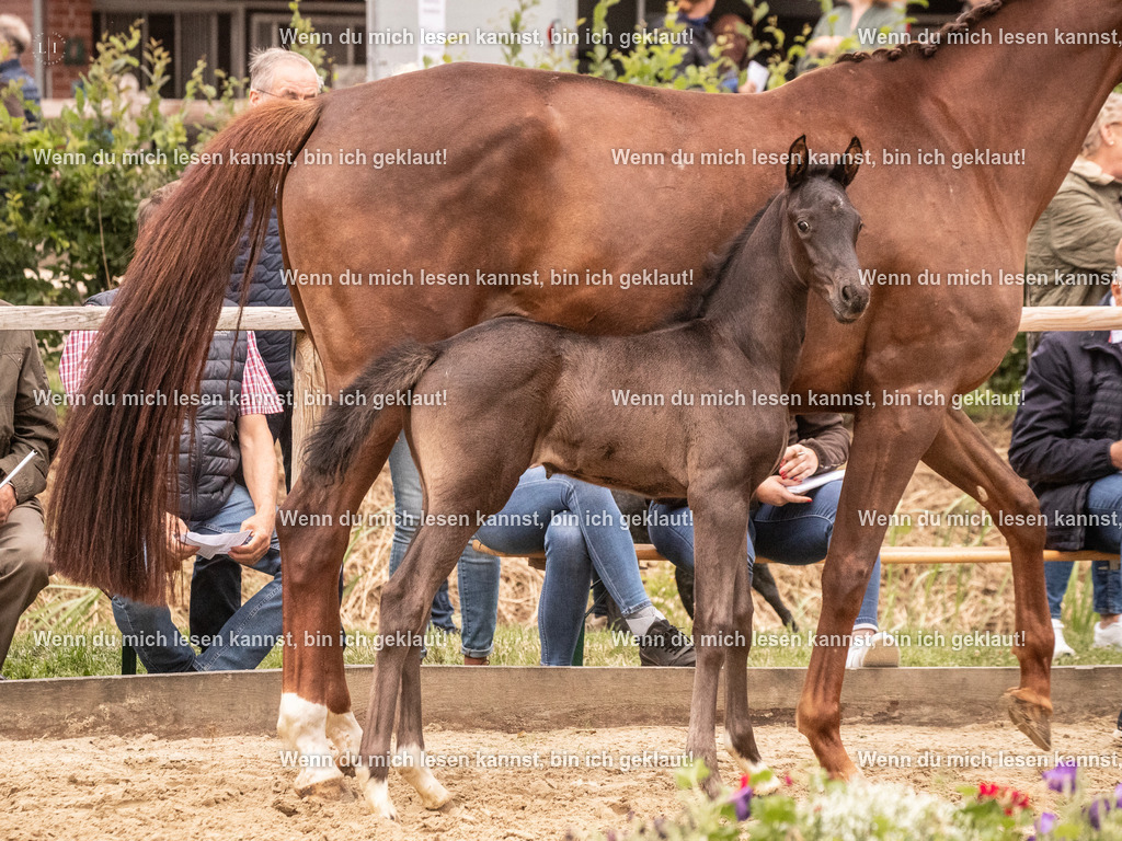 A10I5146 | photographylinaismer - Realisiert mit Pictrs.com