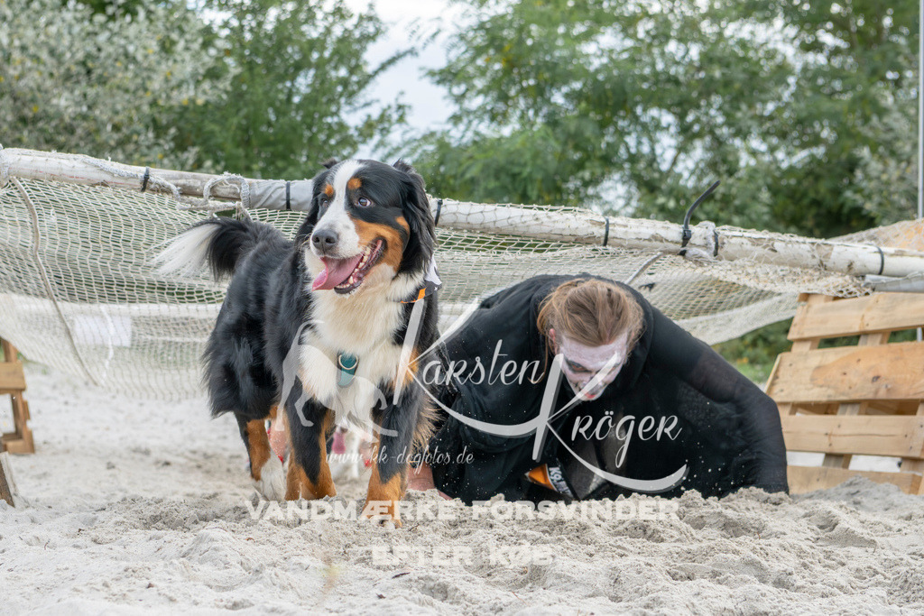 1510_ZZ93228 | kk-dogfotos