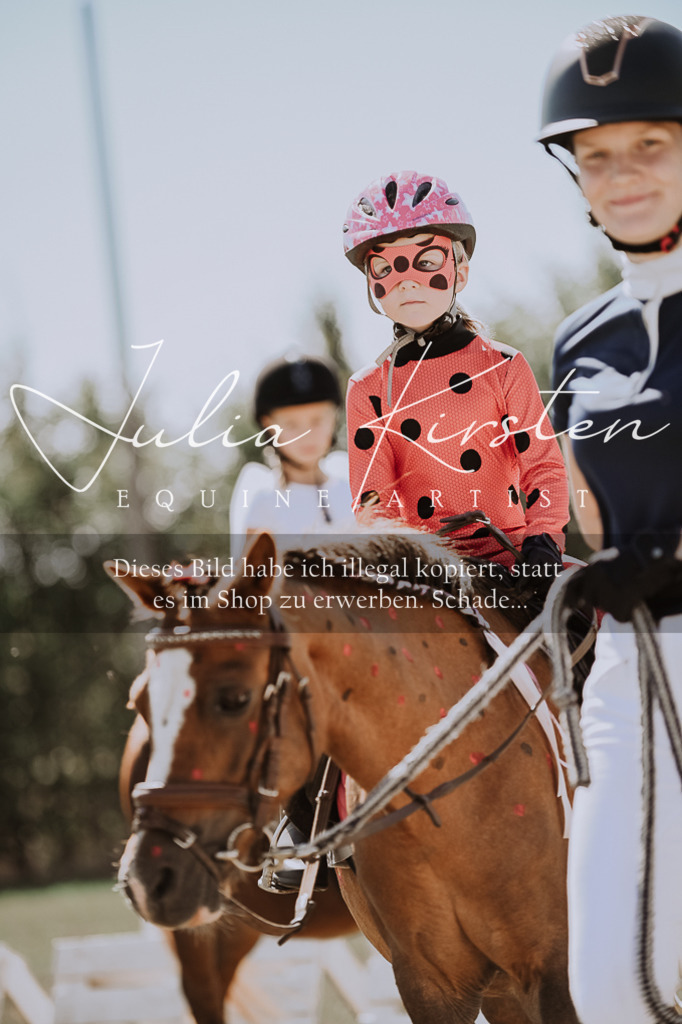 DSC_8841 | Pferde- und Turnierfotografie in Westsachsen. Pferdeportraits, Auftragszeichnungen und intuitive Kunst.