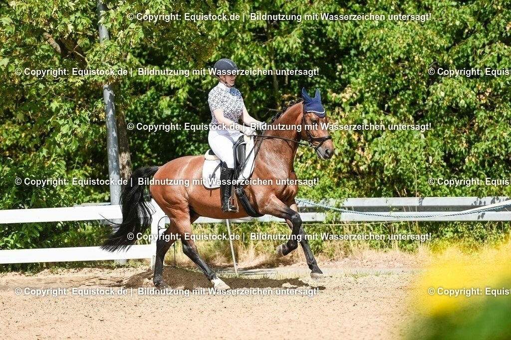20230715_02_Dressurreiterprüfung Kl.L_0150 | equistock