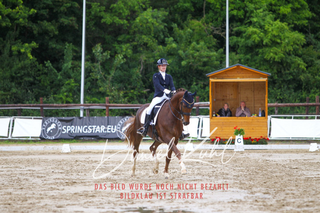 DKP46900 | Turniersportfotografie; Pferdefotografie; Dressurfotografie