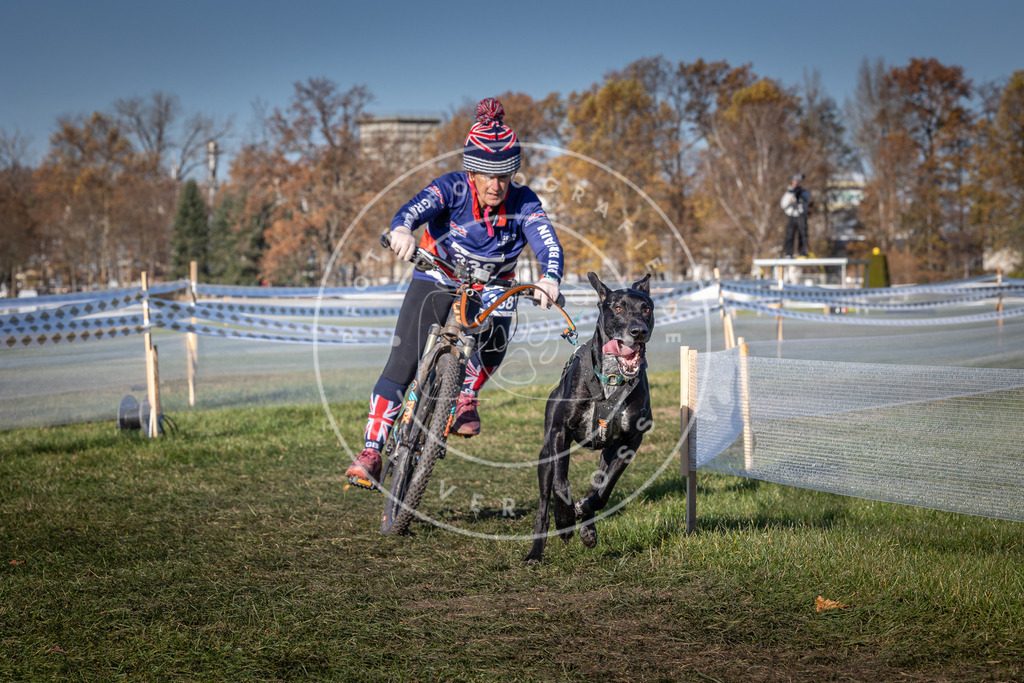 CaniXpix_0L8A5876 | Hundefotografie, Tierfotograf, Pfotenfotografie, Fotoshooting Hund, Hunde Portrait, Hundesport, Hundeportraits, Heideshooting, Hunde, Sportfotograf, Hundefotograf, Turnierhundsport, THS,  - Realisiert mit Pictrs.com
