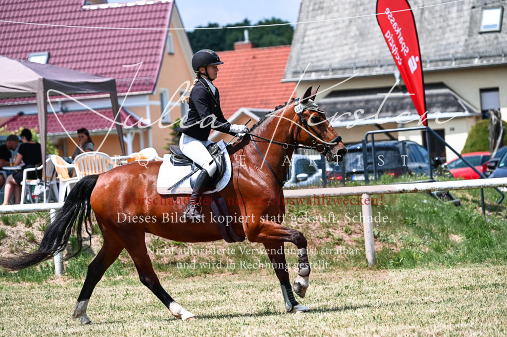 DSC_9571 | Pferde- und Turnierfotografie in Westsachsen. Pferdeportraits, Auftragszeichnungen und intuitive Kunst.