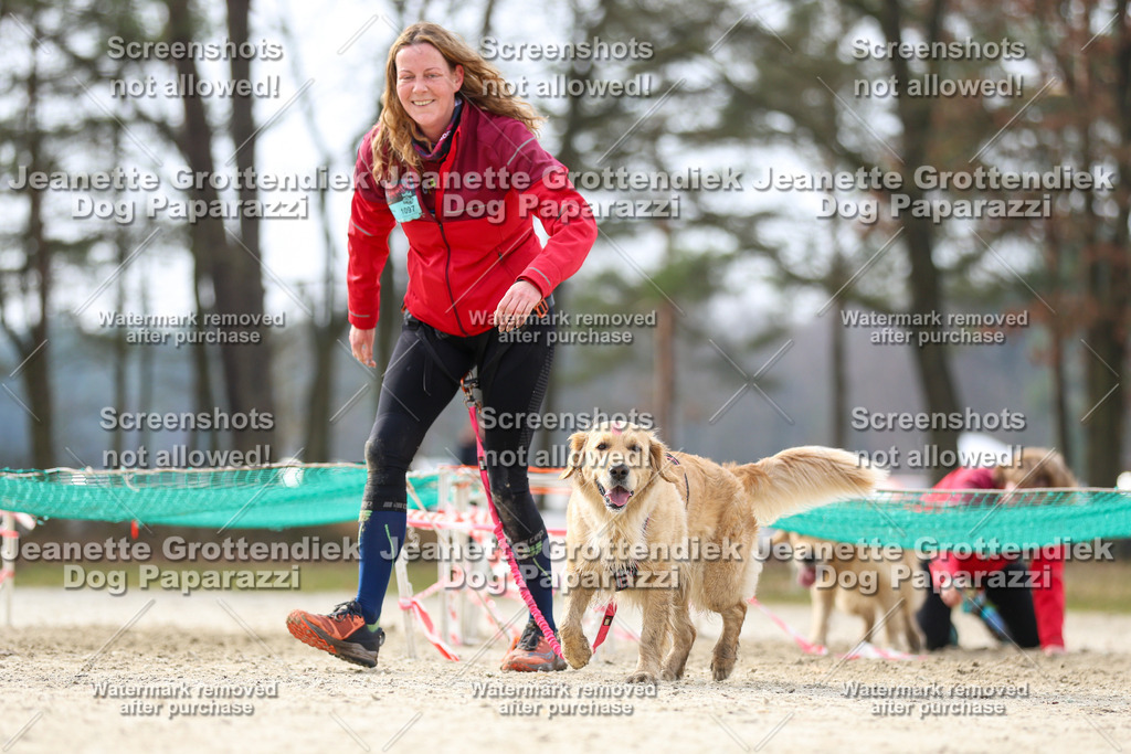 Dog Paparazzi - Strongdog North Mrz26-5354 | Dog Paparazzi Jeanette Grottendiek Fotografie & Videografie - Realisiert mit Pictrs.com
