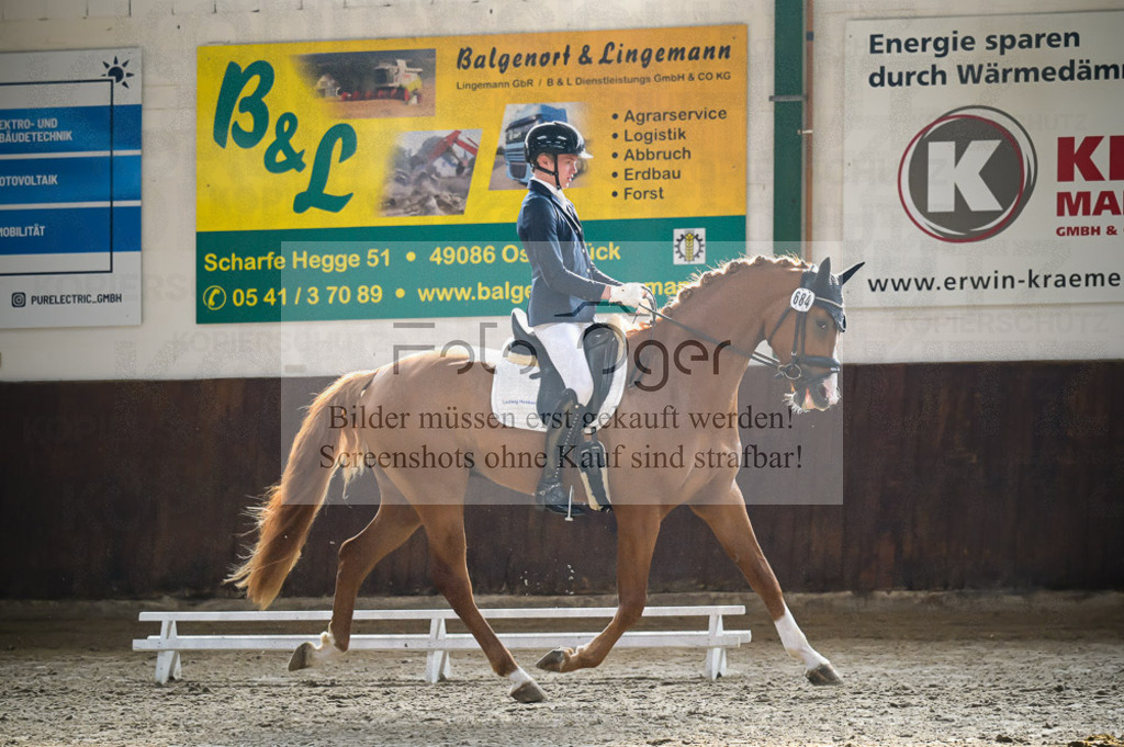 Reitturnier Voxtrup | Entdecke hochwertige Reitturnierfotos von Foto Oger. Professionell, emotional und authentisch – jetzt Lieblingsmomente im Shop bestellen.Deutschlandweite Turnierfotografie. - Realisiert mit Pictrs.com